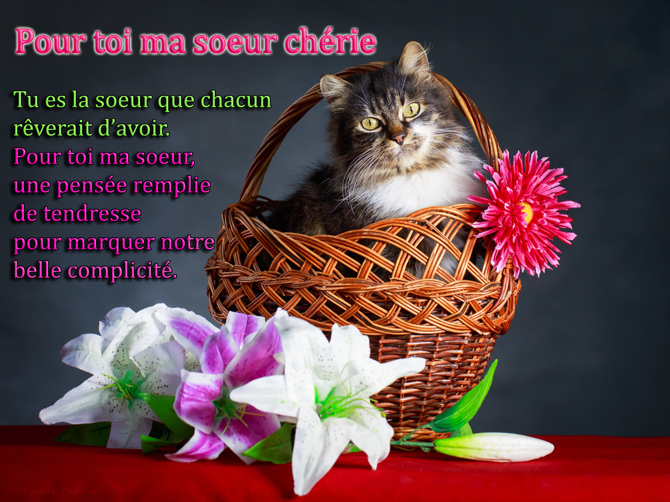 Joyeux Anniversaire Ma Petite Soeur Cherie - Communauté MCMS™. Oct 2023