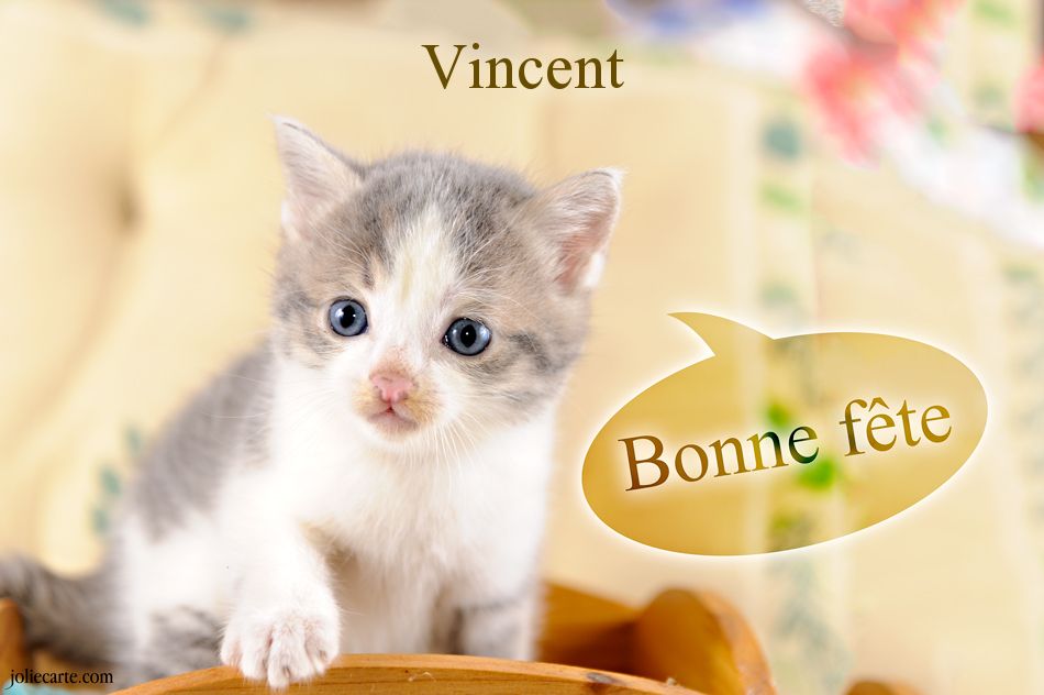 Vincent.jpg