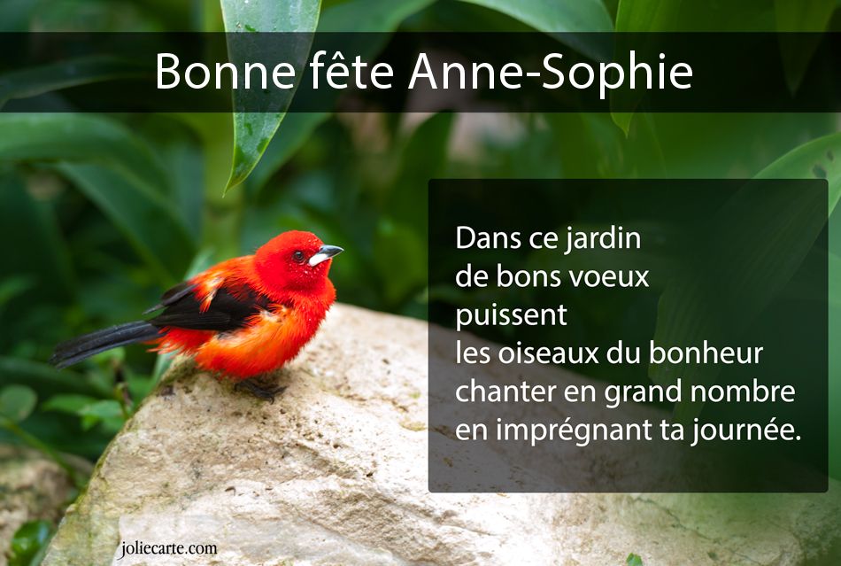 Cartes virtuelles bonne fête AnneSophie