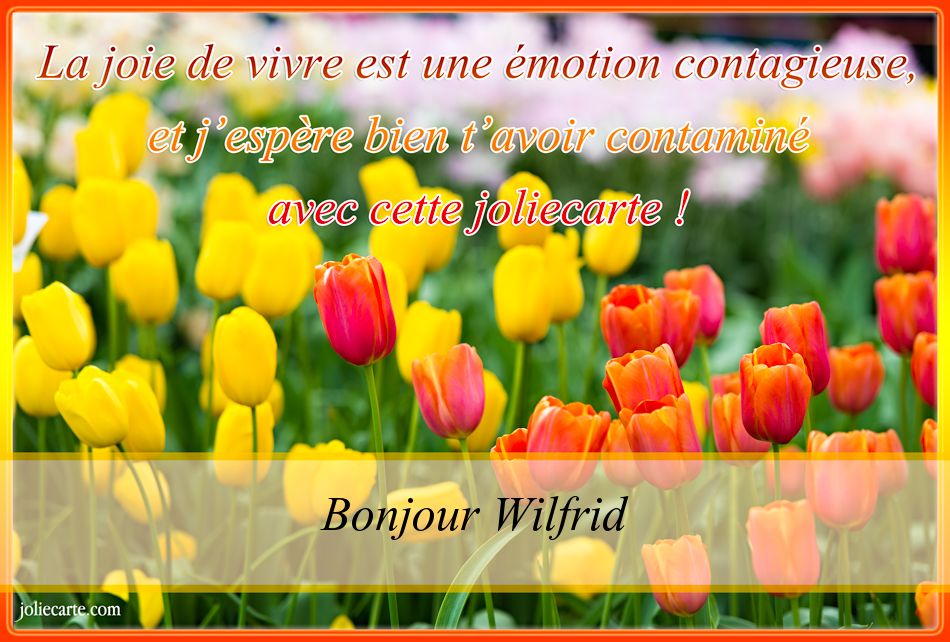 Cartes virtuelles bonne journée Wilfrid