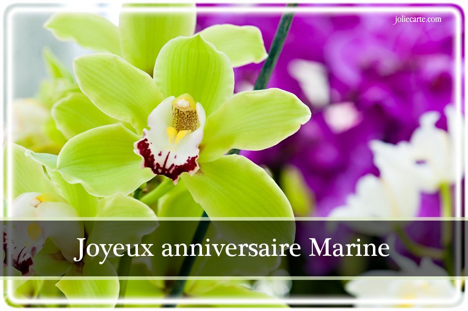 Carte Bon Anniversaire Marine | Nanaryuliaortega Web