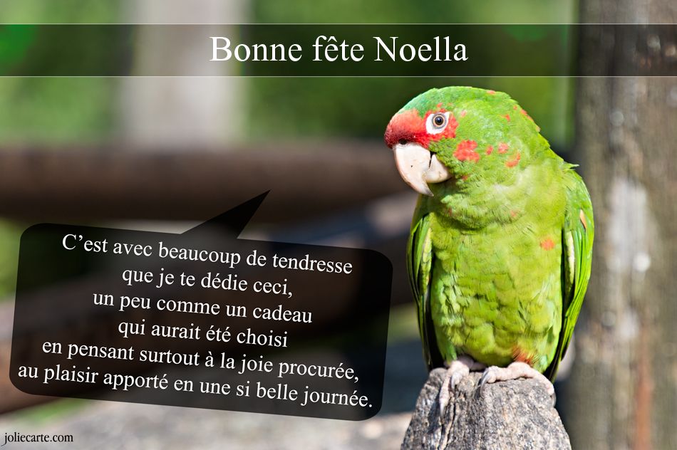 Cartes virtuelles bonne fête Noella