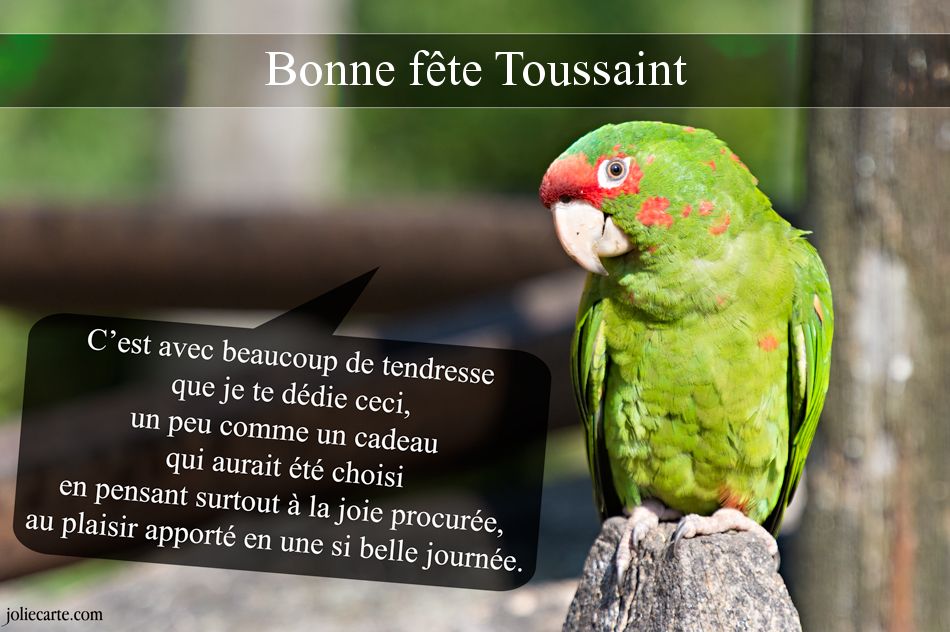 Cartes Virtuelles Bonne Fête Toussaint