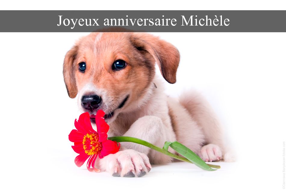 Cartes Virtuelles Joyeux Anniversaire Mich Le