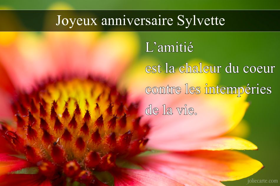 Image result for PHOTO ANNIVERSAIRE SYLVETTE