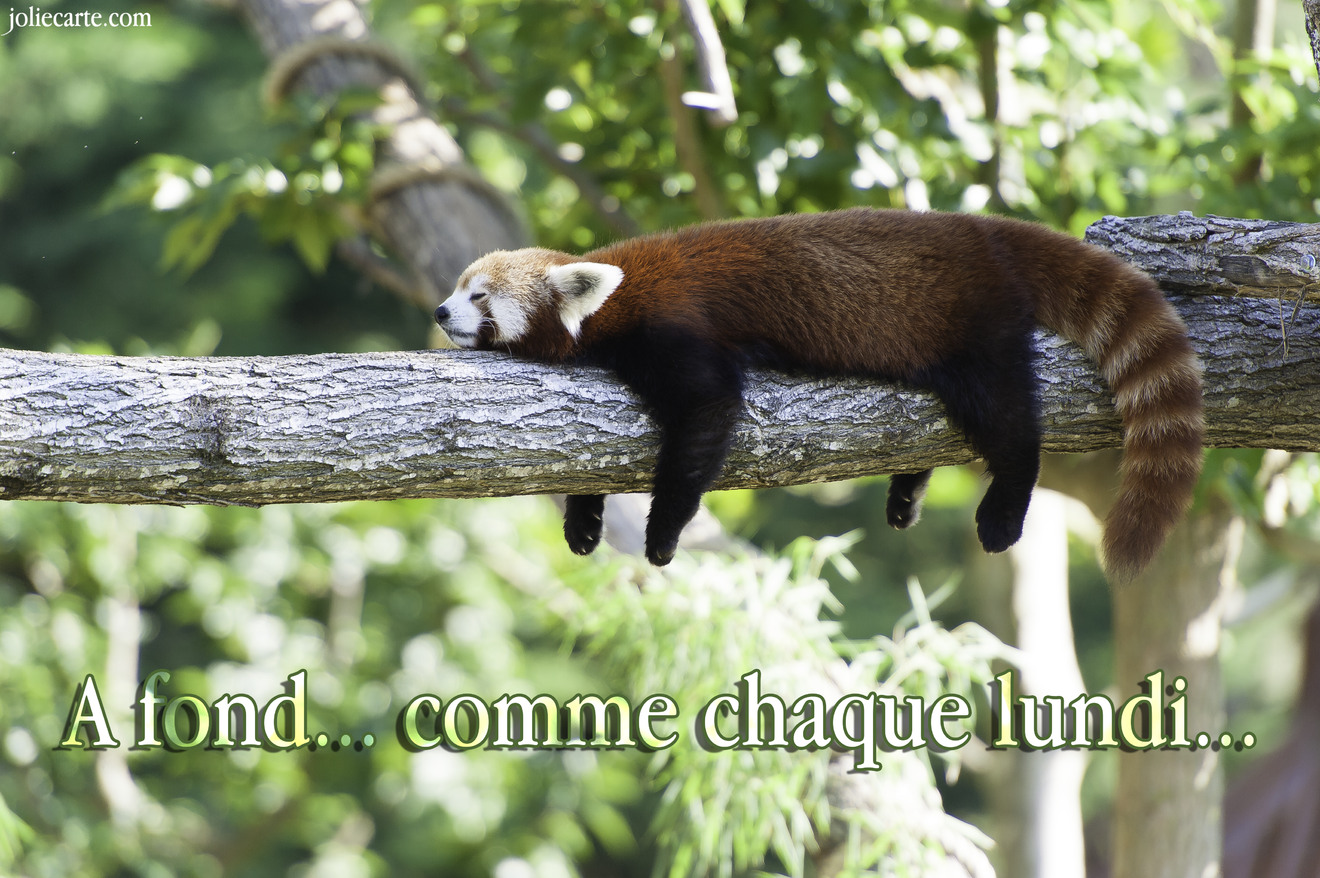 A fond ! Comme chaque lundi...