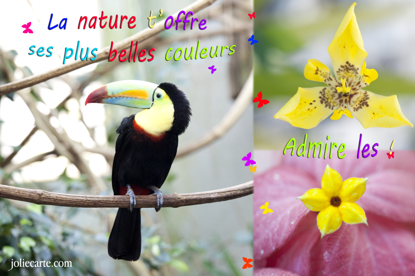 La nature t'offre ses plus belles couleurs, admire les !