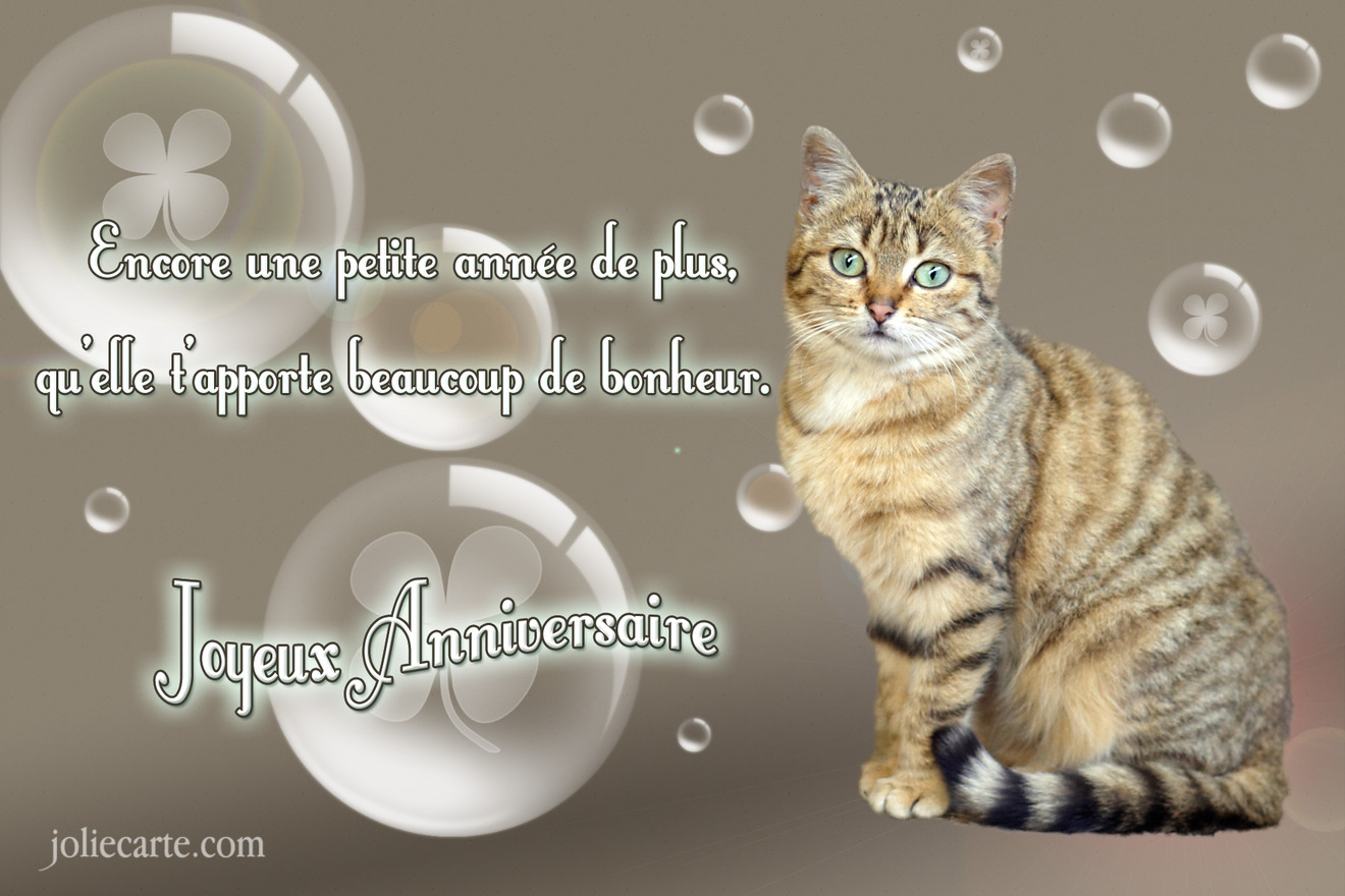 Cartes virtuelles joyeux anniversaire chat - Joliecarte