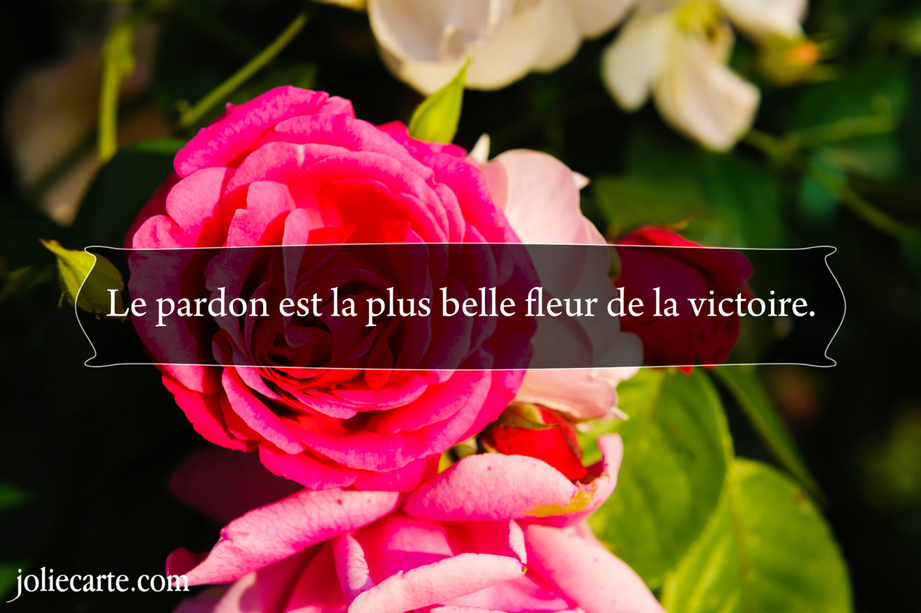 Le pardon est la plus belle fleur de la victoire.