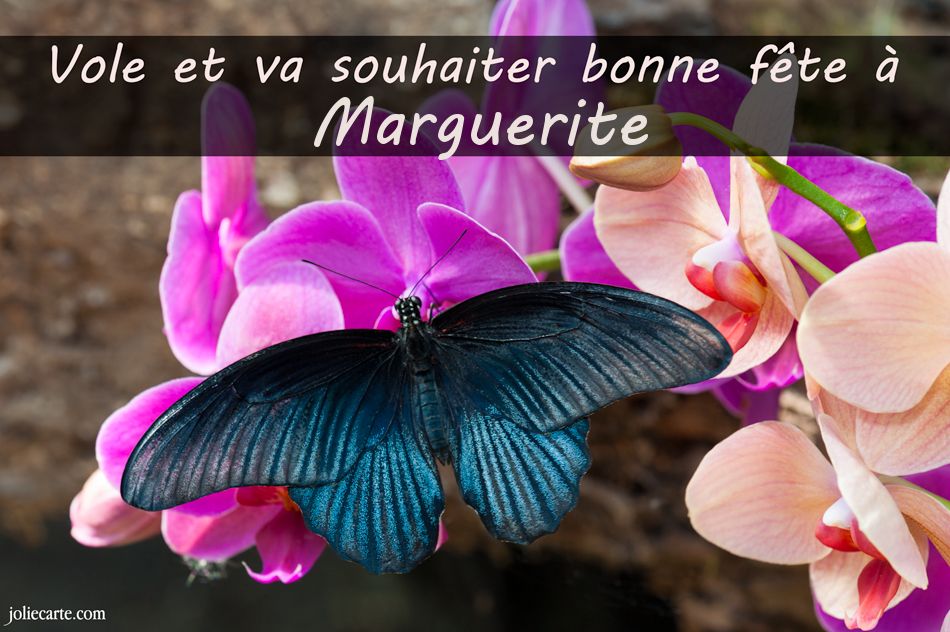 Cartes virtuelles bonne fête Marguerite