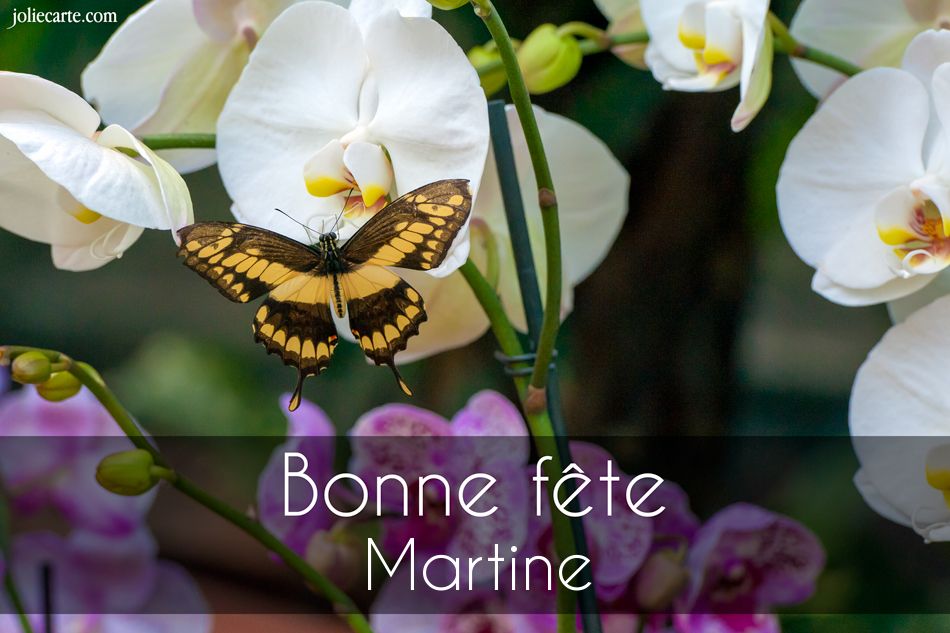 Cartes virtuelles bonne fête Martine