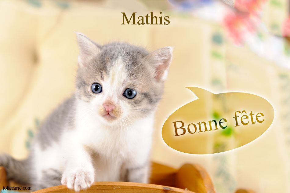 Cartes virtuelles bonne fête Mathis