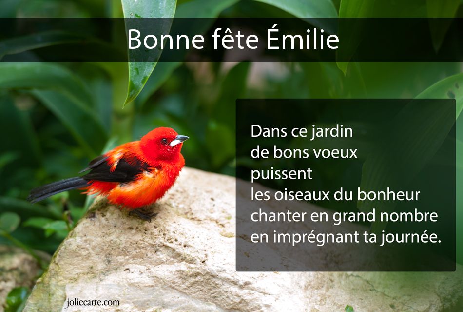 Cartes virtuelles bonne fête Émilie