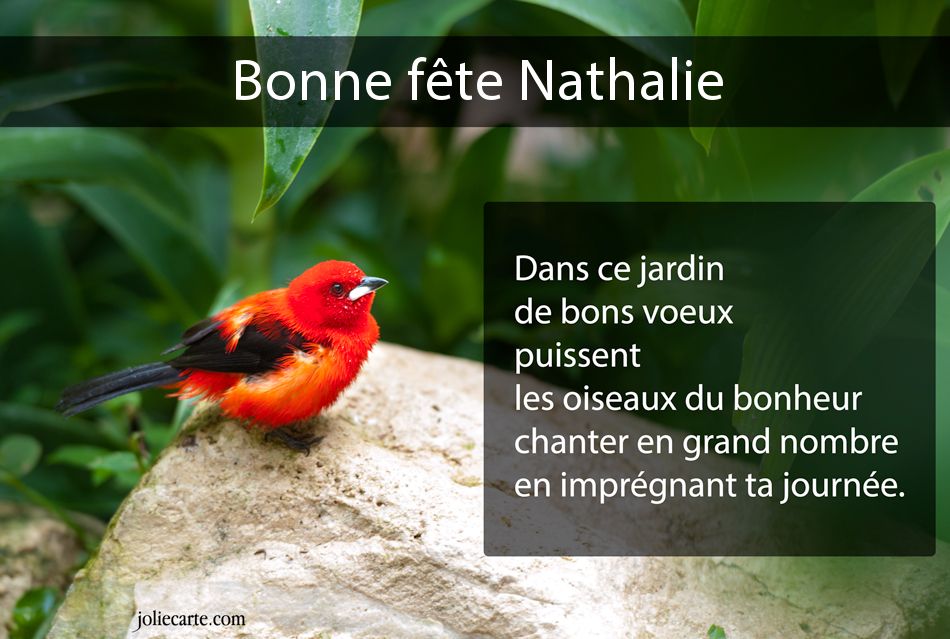 Proverbe Damour Pour Sa Maman Bonne Fete Nathalie Humour
