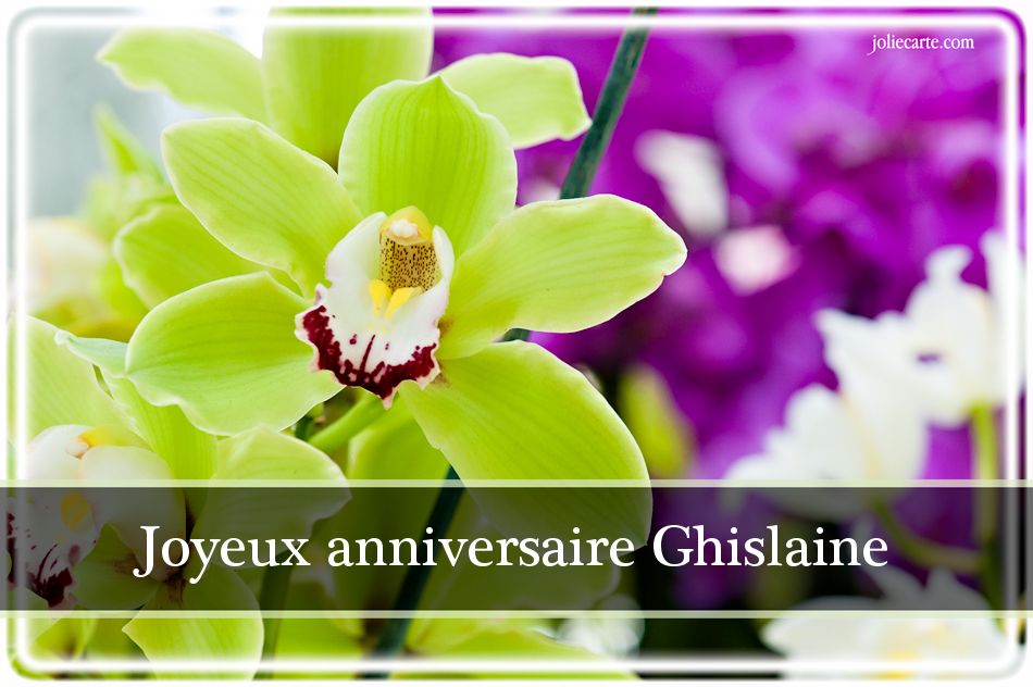 Cartes virtuelles joyeux anniversaire Ghislaine 