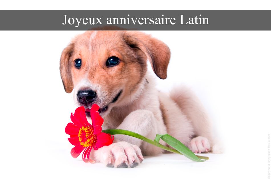 Cartes virtuelles joyeux anniversaire Latin